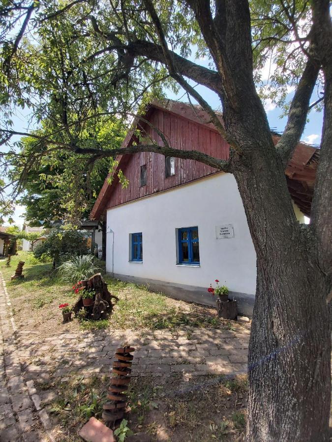 Willa Roka'S- Farm Supljak Zewnętrze zdjęcie