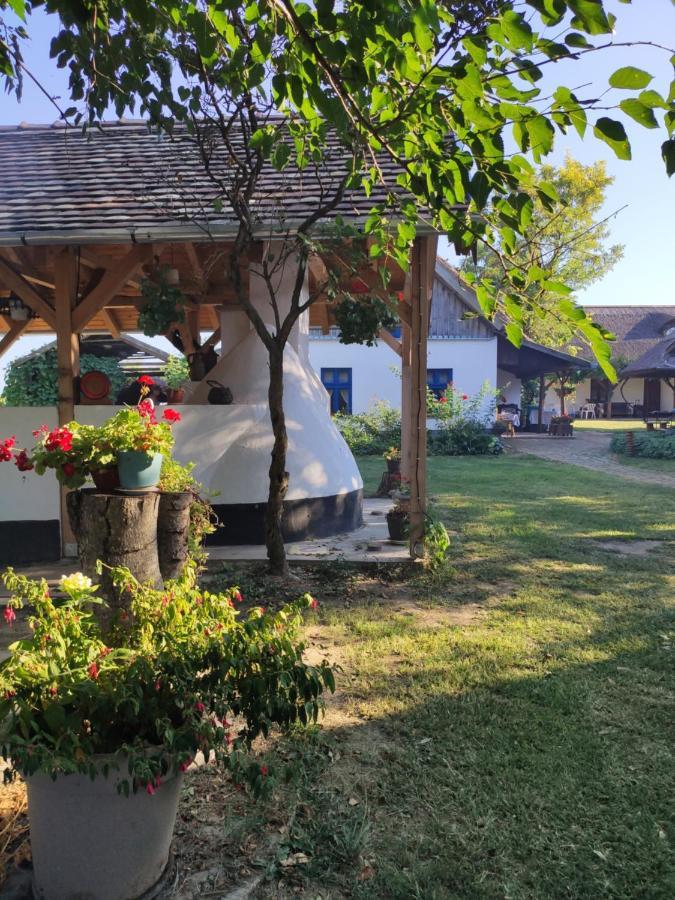 Willa Roka'S- Farm Supljak Zewnętrze zdjęcie